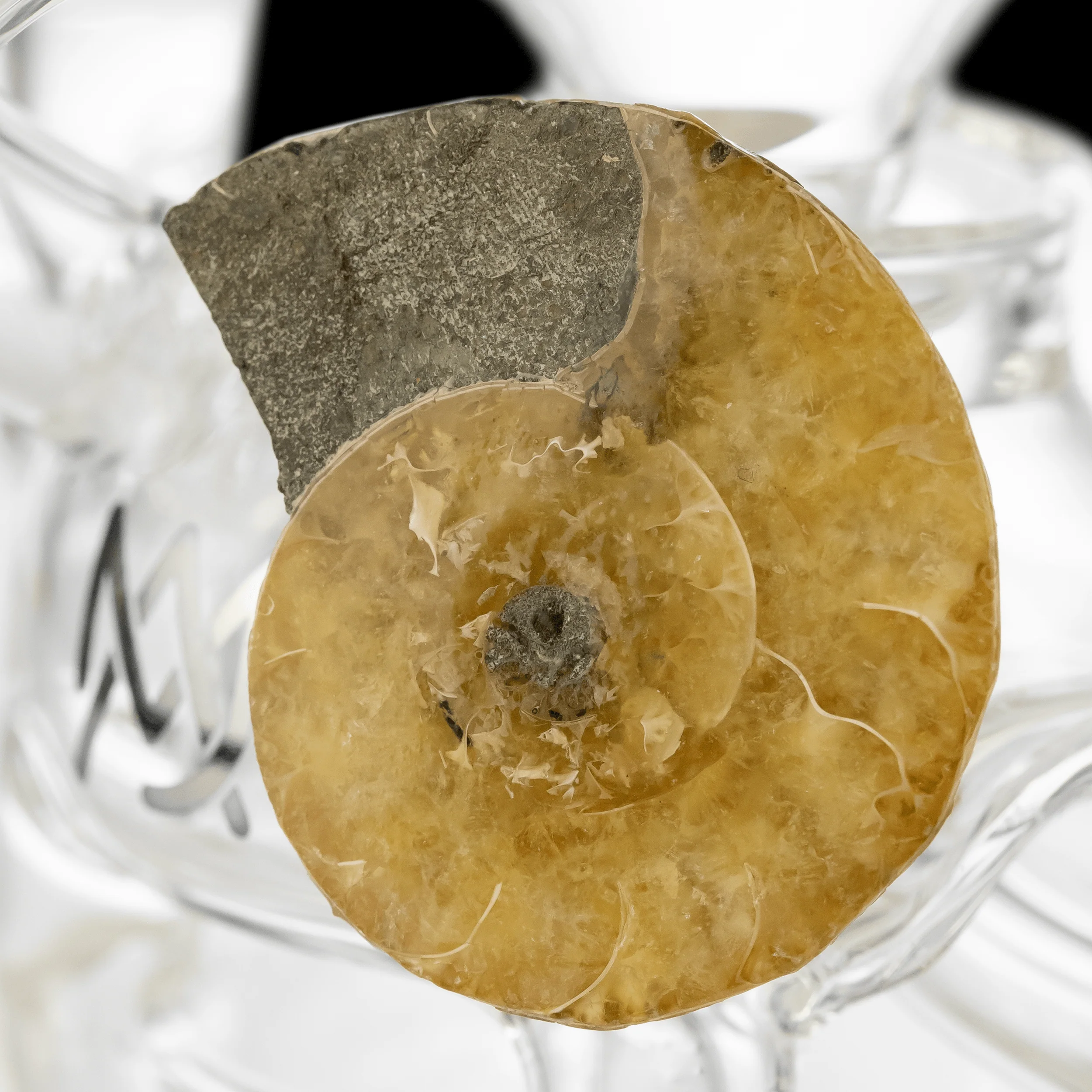 MJA X Alchemy Charm Infinity Dab Rig- LE Coral Collection - Image 4
