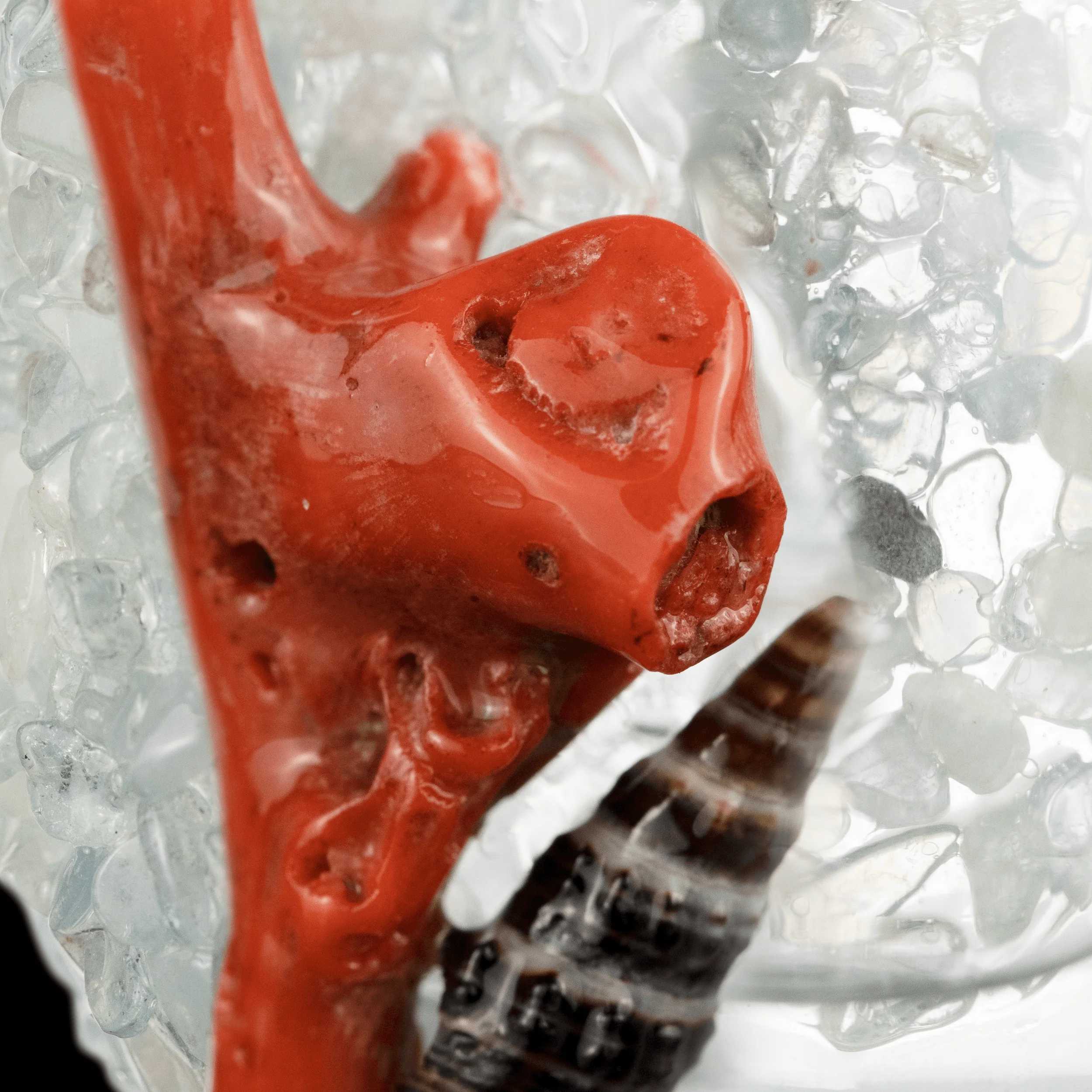 MJA X Alchemy Charm ISO Station- LE Coral Collection - Image 4